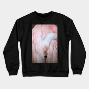 Flamingo #4 Crewneck Sweatshirt